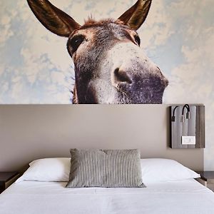 Camera superior con letto king size
