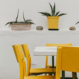 Casa Canaria Beautiful Home in Las Canteras