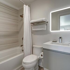 Suite con Cama King