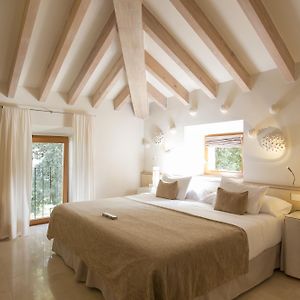 Zimmer mit Queensize-Bett