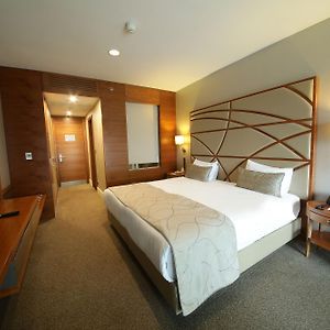 Deluxe Kamer met een King Size Bed