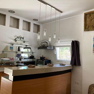 Apartament z 1 sypialnią