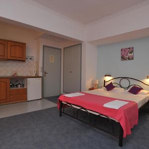 Klassiek Studio met een King Size Bed