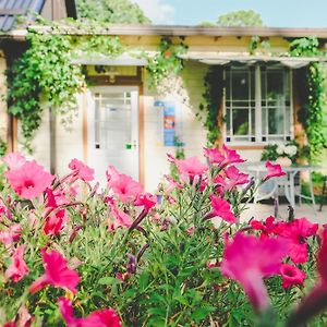 Villa Irbe