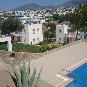 Tek Yatak Odalı Daire