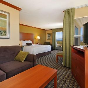 Suite con Cama King