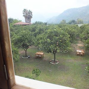 Üç Kişilik Oda