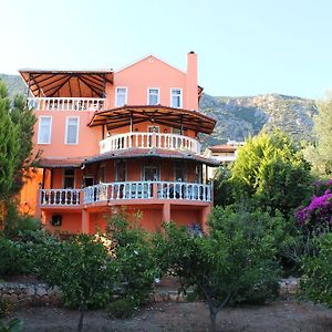 Villa Köknar Pansiyon