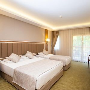 Superior Kamer met een King Size Bed