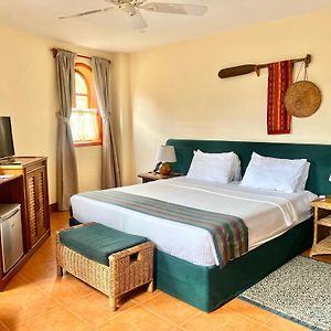 Chambre Standarde Lit King-Size