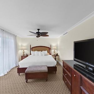 Kamer "Premium" met een King Size Bed