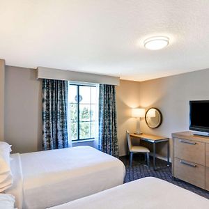 Suite Deluxe