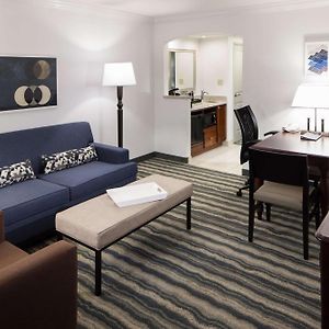 Suite mit Kingsize-Bett