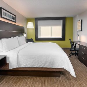 Habitación Adaptada para Personas de Movilidad Reducida Estándar con Cama King