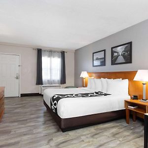 Chambre de Luxe Lit King-Size