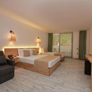 Superior Dreibettzimmer