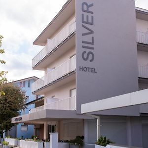 Hotel Silver