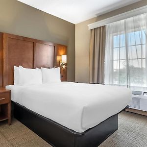 Chambre Accessible aux Personnes à Mobilité Réduite Lit Queen-Size