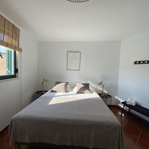 Superior Kamer met een Queen Size Bed
