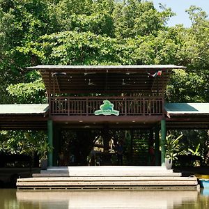 Turtle Beach Lodge