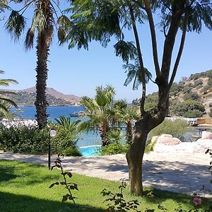 Club Flipper Bodrum