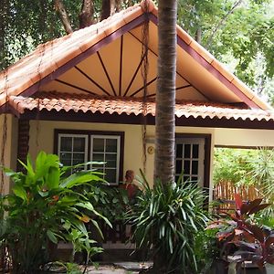 Standard Bungalow