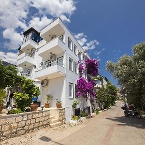 Selim Pension - Adult Only + 16