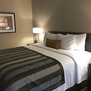 Habitación con Cama King