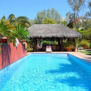 Casa Las Palmeras (Adults Only)