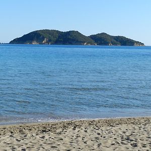 Turtle'S Nest