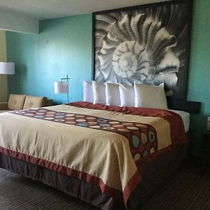 Deluxe Kamer met een King Size Bed