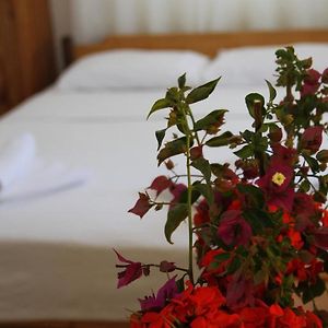 Standard Zimmer mit Kingsize-Bett