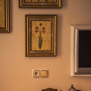 Superior Kamer
