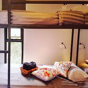 Dormitory Room Mixed