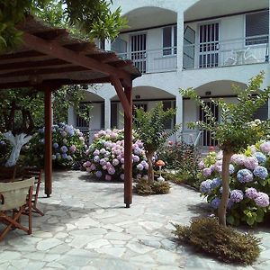Margarita Apartments