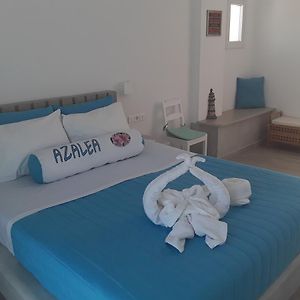 Zimmer mit Kingsize-Bett