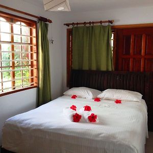 Familien-Zimmer mit Kingsize-Bett