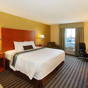Suite con Cama King