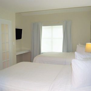 Suite Executive