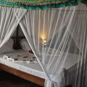 Standard Zimmer mit Queensize-Bett