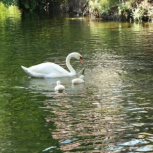 Golden Key Bordubet