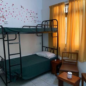Dormitory Room Mixed