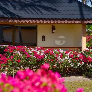 Bungalow Standarde