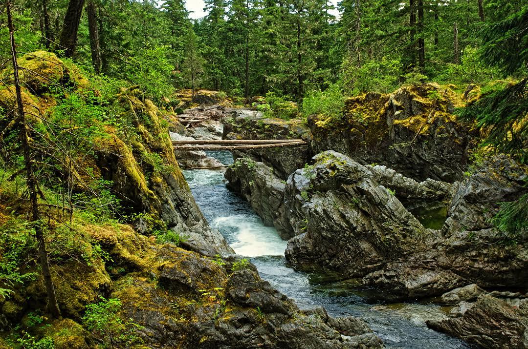 Englishman River Falls Provincial Park