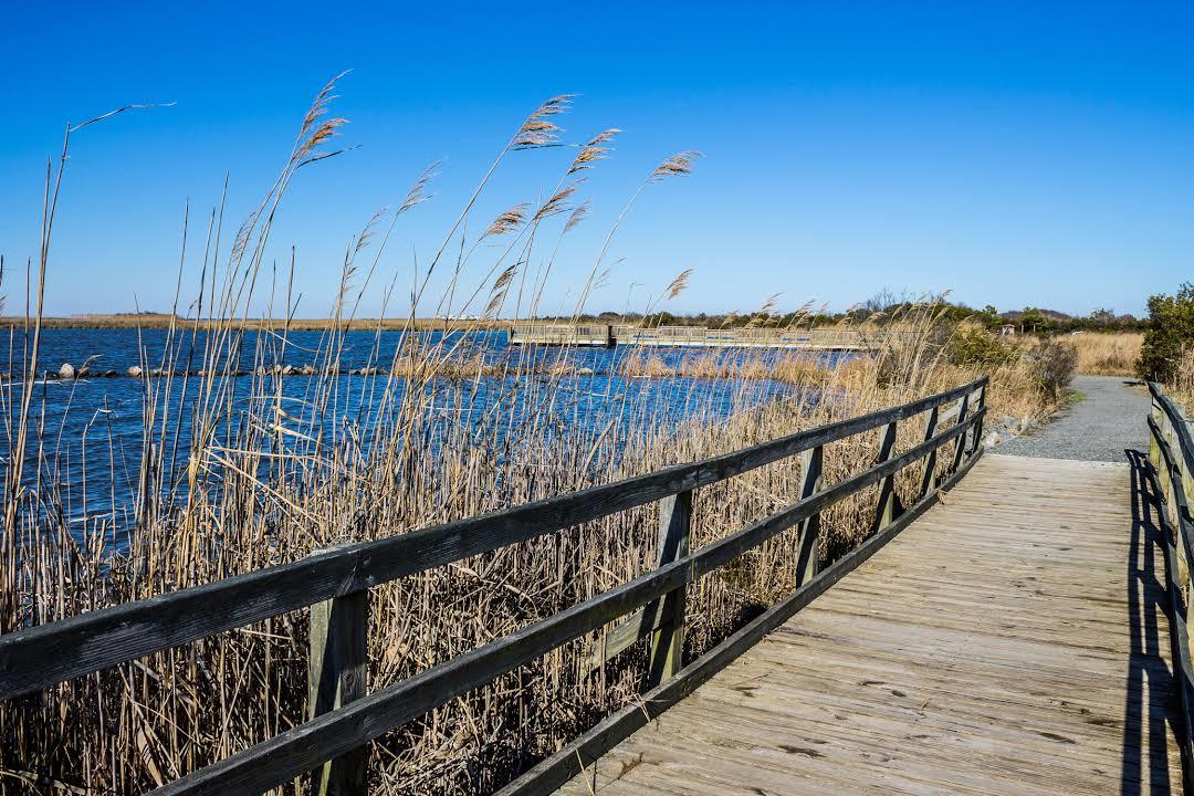 Back Bay National Wildlife Refuge