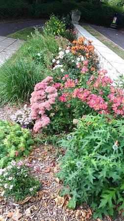 Sandsfoot Gardens