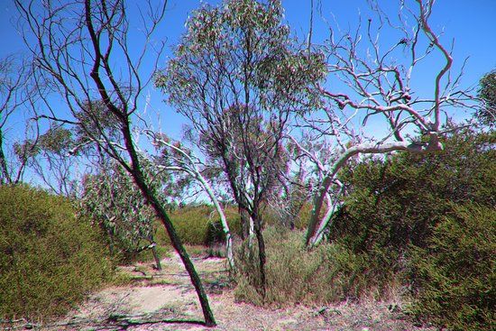 Aldinga Scrub Conservation Park