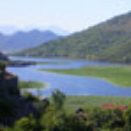 Hai Zhi Hua Mei Shi Cheng