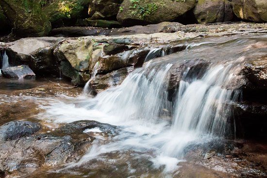 Tranh Stream