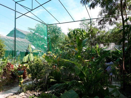 Santa Fe Butterfly Garden